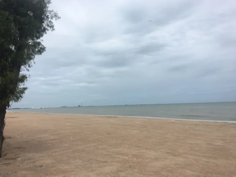 ขายที่ดินติดหาดพยูน อบ้านฉาง จระยอง