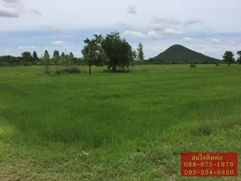 ขายที่ดิน ที่อยู่ ถนนสาย 3350 ตำบลหัวเขา อำเภอเดิมบางนางบวช จังหวัดสุพรรณบุรี