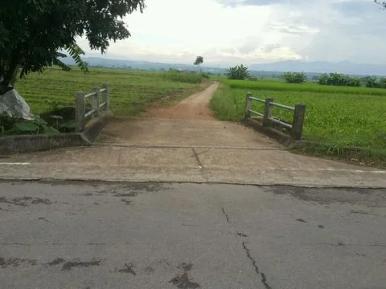 ขาย ที่ดิน เมืองแกน แม่แตง เชียงใหม่ 3 ไร่ 1 งาน เหมาะสร้างบ้านพักตากอากาศ วิว 360 องศา