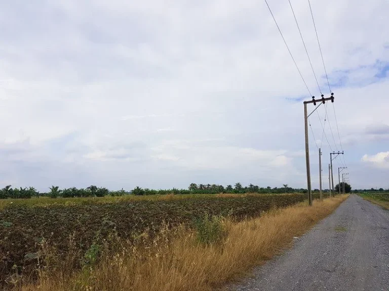 ขายที่ดิน หนองจอก 100 ไร่ แปลงใหญ่ถูกสุดย่านนี้