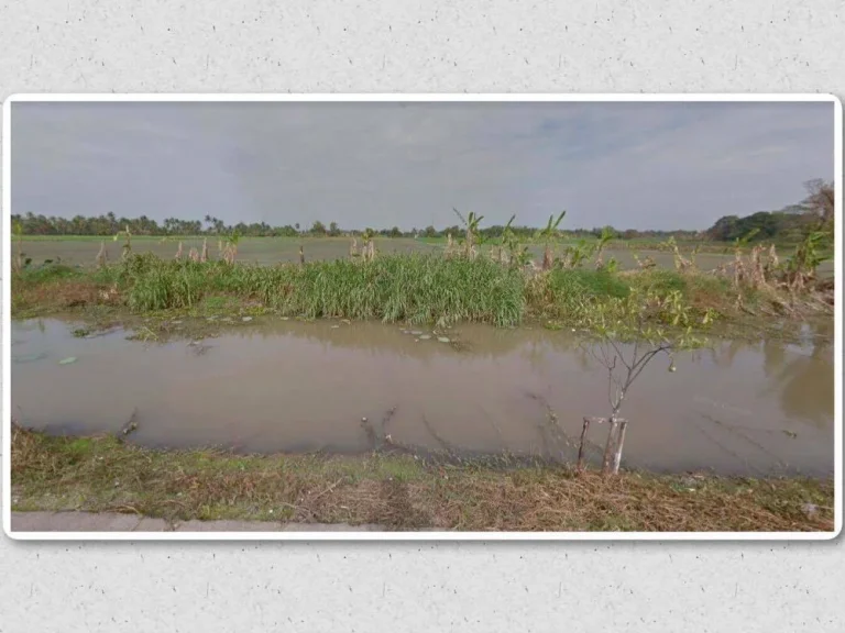 ขายที่ดินซอยอยู่วิทยา แขวงหนองจอก เขตเจียระดับ