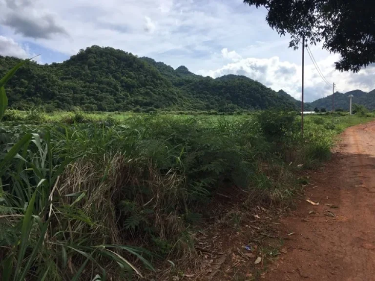 ที่ดินหมูสี เขาใหญ่ 1ไร่ หน้าติดถนนซอย วิวภูเขาล้อมรอบ ถนน น้ำ ไฟพร้อม