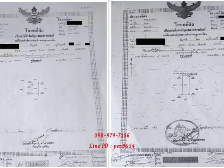 ขายที่ดินโฉนด 5 ไร่ 3 งาน 22 ตารางวา ปักธงชัย ใกล้เทพพิทักษ์ฟาร์ม 3