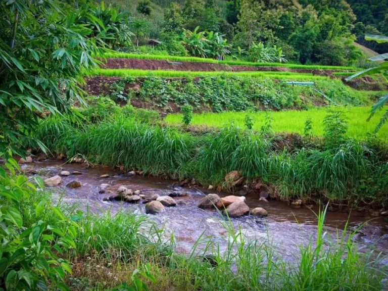 ขายที่ดินติดธารน้ำ แม่แจ่ม เอกสาร นส 3กเชียงใหม่ ราคาถูก