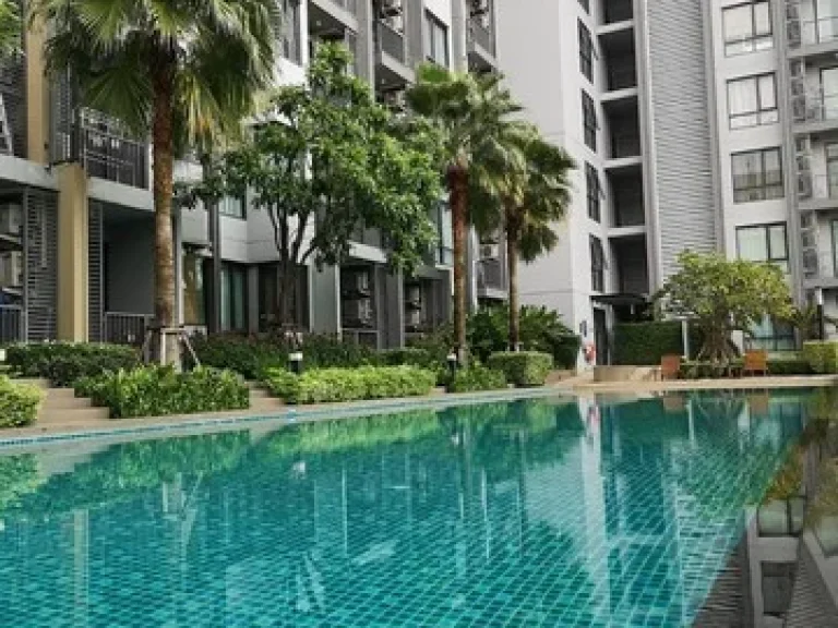 ให้เช่าคอนโด Q House Condo Sukhumvit 79 คิว เฮ้าส์ คอนโด สุขุมวิท 79 1 ห้องนอน ขนาด 31 ตรม