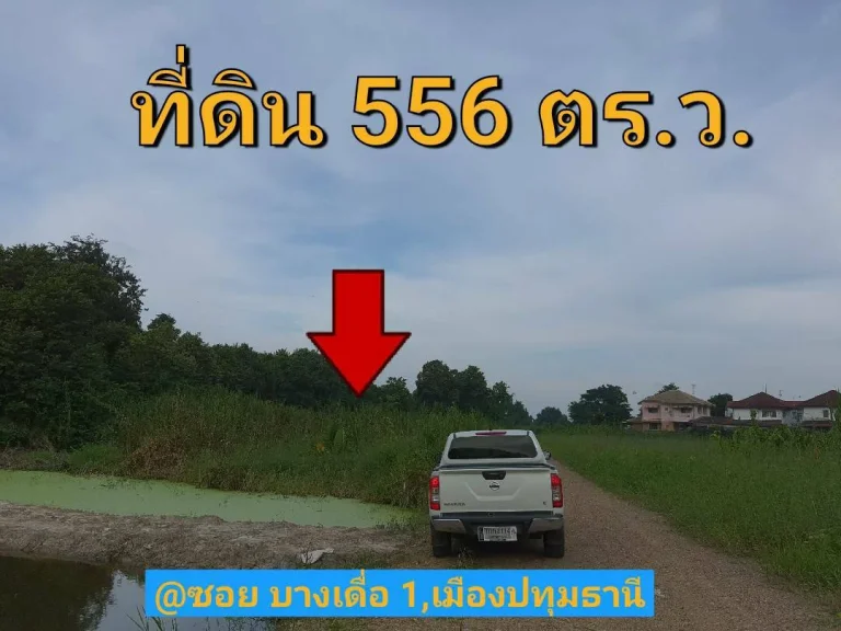 ขายที่ดินบางเดื่อ 556 ตารางวา ถนนปทุมธานีสายนอก อำเภอ เมืองปทุมธานี จังหวัด ปทุมธานี