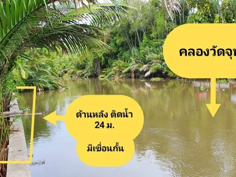 ขายที่ดินติดน้ำ อัมพวา 163 ตรว ด้านหน้าติดถนนดำ ด้านหลังติดคลองวัดจุฬา ถมแล้ว อเมืองจสมุทรสงคราม