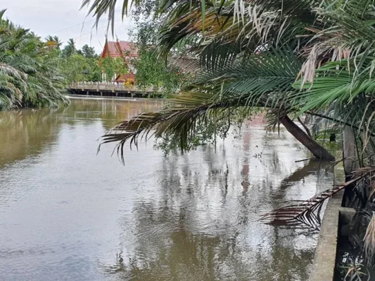 ขายที่ดินติดน้ำ อัมพวา 163 ตรว ด้านหน้าติดถนนดำ ด้านหลังติดคลองวัดจุฬา ถมแล้ว อเมืองจสมุทรสงคราม