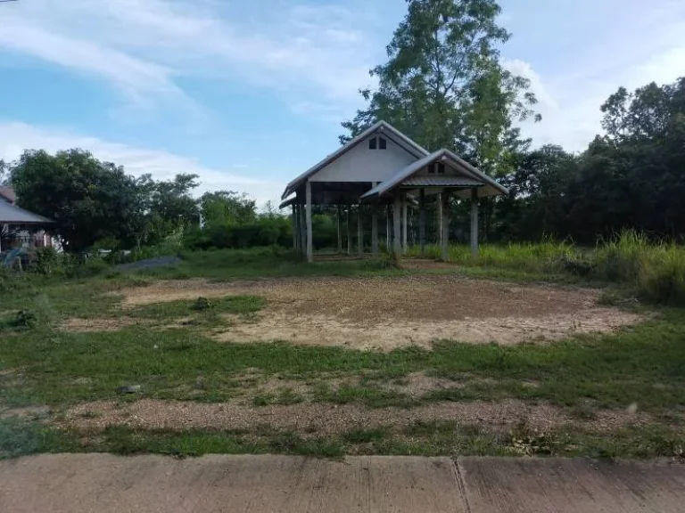 ขายที่ดิน บ้านดงเย็น ตำบลห้วยไร่ อำเภอคอนสวรรค์ จังหวัดชัยภูมิ ฟรีค่าโอน