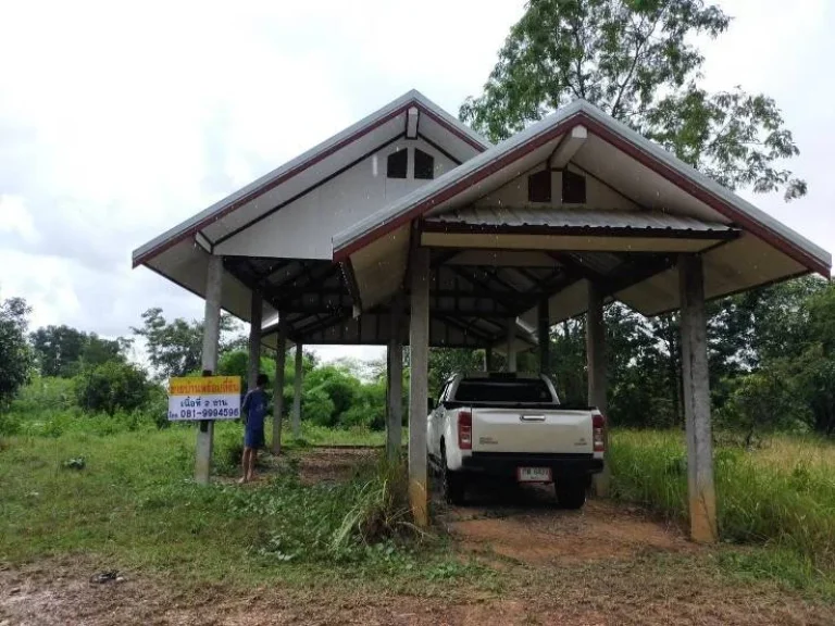 ขายที่ดิน บ้านดงเย็น ตำบลห้วยไร่ อำเภอคอนสวรรค์ จังหวัดชัยภูมิ ฟรีค่าโอน