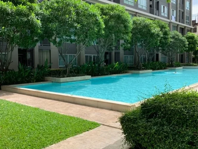 Sale D-condo Campus Resort Ratchapruek-Charan 13 เฟอร์ครบ สภาพดีมาก เจ้าของขายเอง