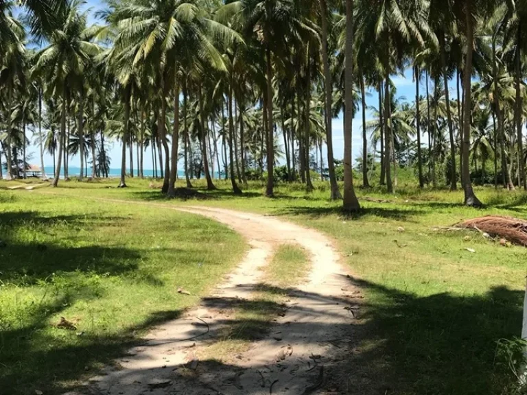 ที่ดินติดทะเลชายหาดเกาะสมุย 3 ไร่