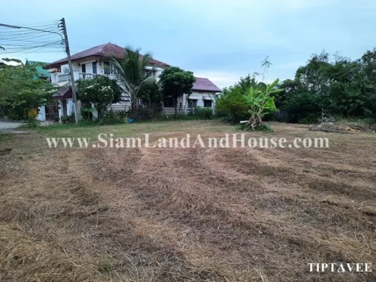 ขายที่ดินเชียงใหม่ ที่ดินลานนาธานี ใกล้โรงเรียนจีนช่องฟ้า สารภี เชียงใหม่ Land for SALE Lanna Thani Village Saraphi Chiangmai THAILAND