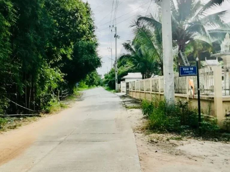 Vาย ที่ดิน บ้านหนองปึ๋ง ยุหว่า สันป่าตอง