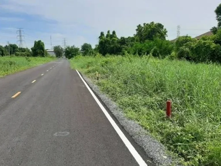 ขายที่ดินแถวไทรน้อย ใกล้ถนนใหญ่ ซอยเทพประทาน1 อำเภอไทรน้อย จังหวัดนนทบุรี