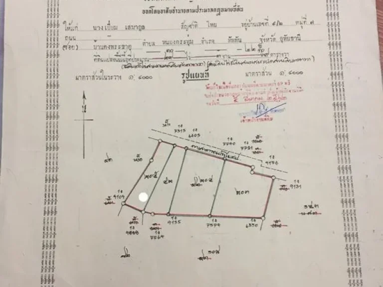 แบ่งขายที่ดินพร้อมต้นไม้สัก อหนองฉาง จอุทัยธานี 1 ไร่มีต้นสัก ไร่ละ 200 ต้น