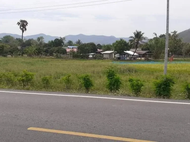 ขายที่ดินร้องวัวแดง ติดถนนสาธารณะ ค้าขายได้ดี