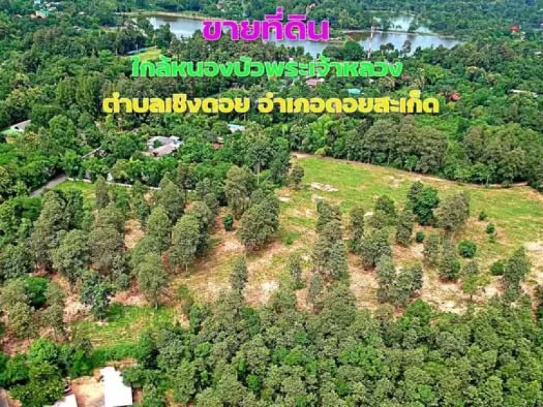 ขายที่ดิน มีโฉนดติดเขตป่า ใกล้หนองบัวพระเจ้าหลวง ตำบลเชิงดอย อำเภอดอยสะเก็ด จังหวัดเชียงใหม่