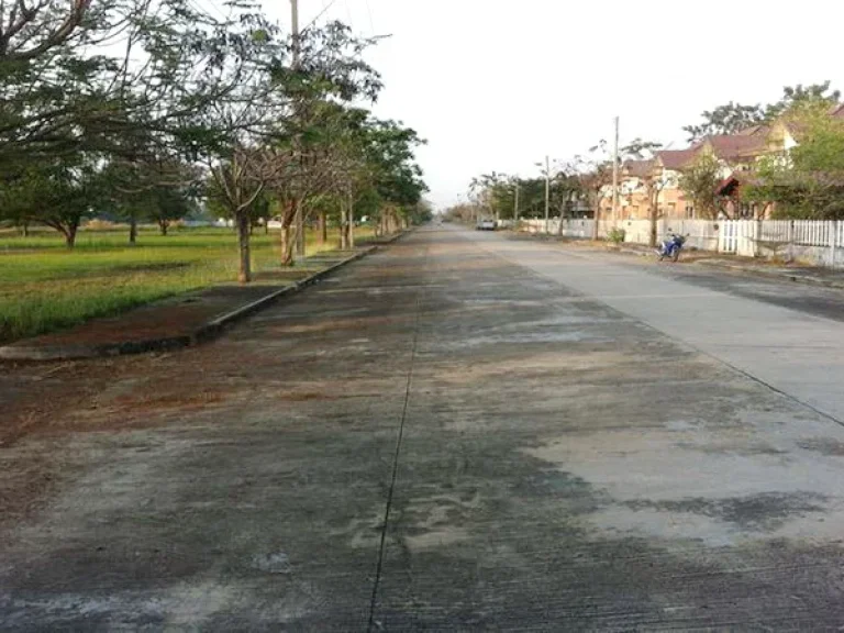 ขาย ที่ดิน ถนนสระบุรี-ปทุมธานี อหนองแค จสระบุรี