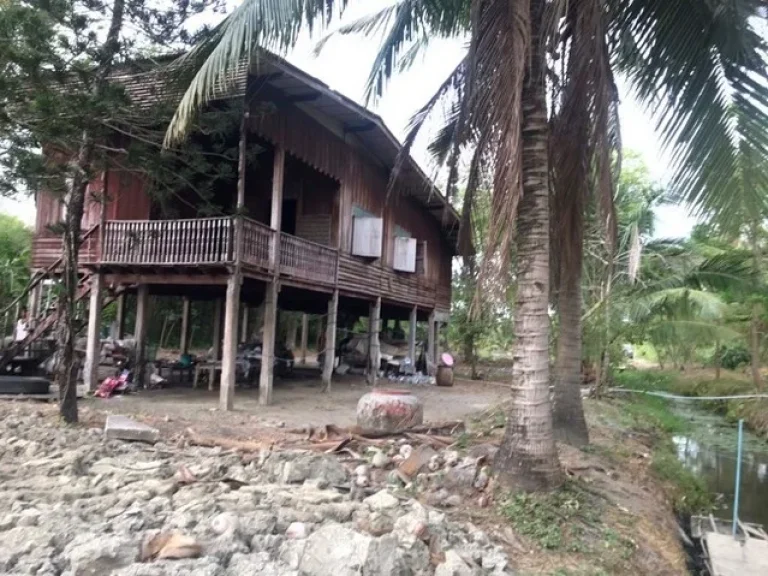 ขายที่ดินพร้อมบ้านสวนอัมพวา จังหวัดสมุทรสงคราม ติดคลอง มีศาลาริมน้ำ บรรยากาศสวนเงียบสงบ