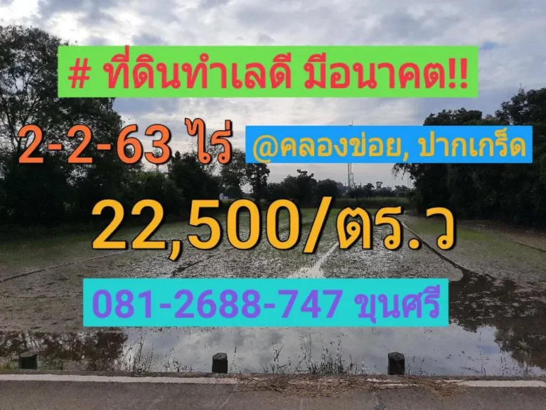 ขายที่ดินคลองข่อย 2-2-63 ไร่ อำเภอ ปากเกร็ด จังหวัด นนทบุรี