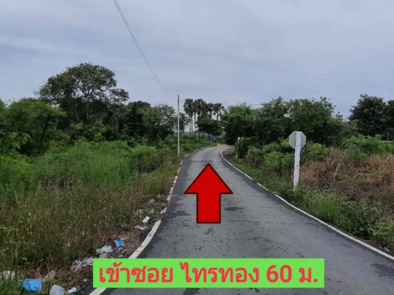 ขายที่ดินคลองข่อย 2-2-63 ไร่ อำเภอ ปากเกร็ด จังหวัด นนทบุรี