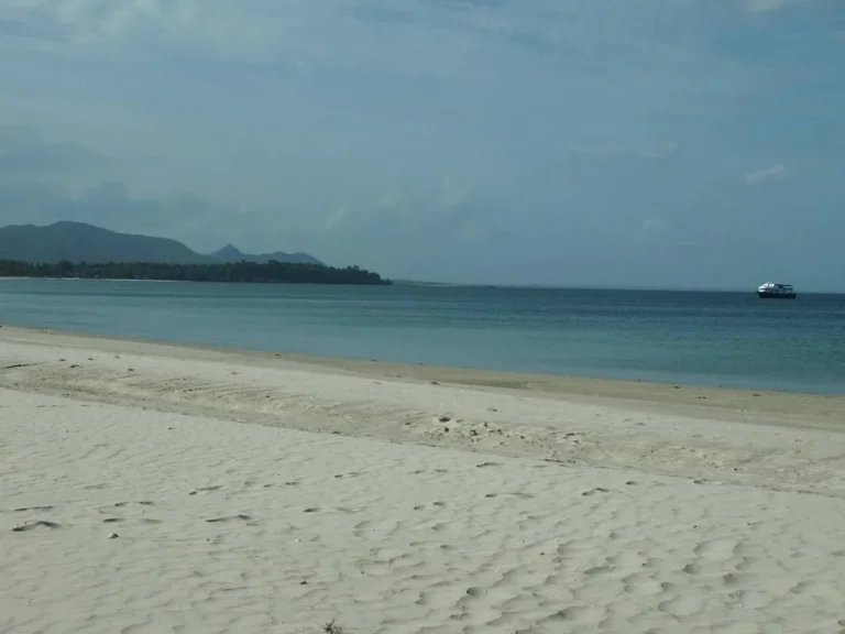 ขายที่ดินติดชายทะเล หาดทุ่งวัวแล่น ตสะพลี อปะทิว จชุมพร