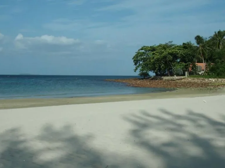 ขายที่ดินติดชายทะเล หาดทุ่งวัวแล่น ตสะพลี อปะทิว จชุมพร