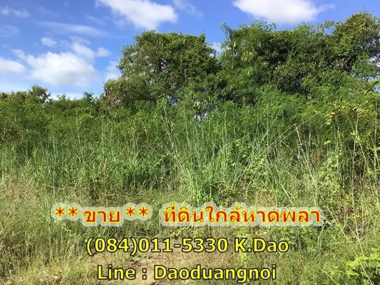 ขายที่ดินด่วน ที่ดิน เนื้อที่ 2 ไร่กว่า ขายยกแปลง ที่ดินอยู่บนถนนพลา