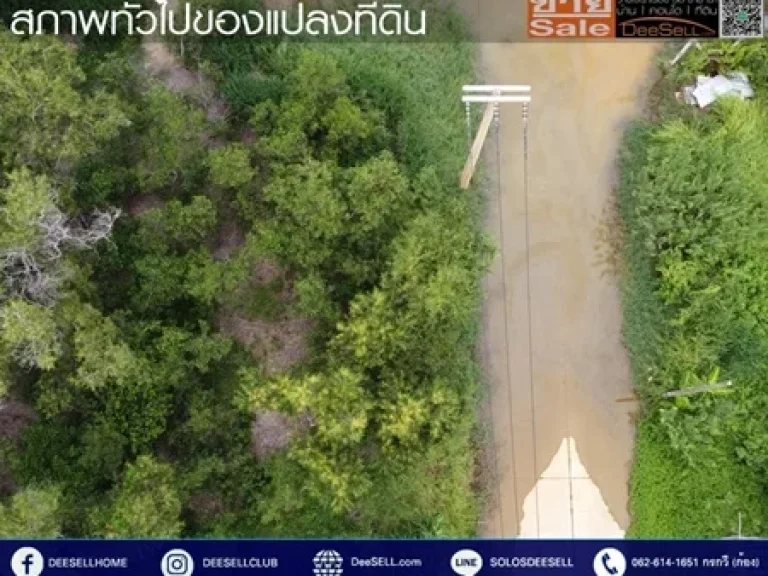 ขายที่ดินหน้ากว้าง18ม ติดทางสาธารณะ เมืองเอก หลักหก 134ตรว ใกล้รพแพทย์รังสิต เหมาะสร้างที่พักอาศัย