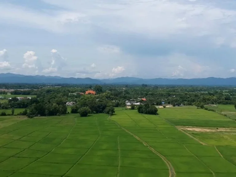 ขายที่ดิน ท่ารั้ว ป่าเสร้า ตำบลสันปูเลย อำเภอดอยสะเก็ด จังหวัดเชียงใหม่