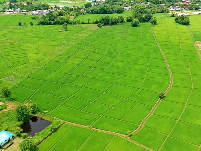 ขายที่ดิน ท่ารั้ว ป่าเสร้า ตำบลสันปูเลย อำเภอดอยสะเก็ด จังหวัดเชียงใหม่