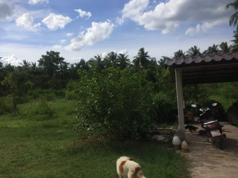 ขายบ้านพร้อมที่ดิน บ้านโบราณ อำเภออัมพวา จังหวัดสมุทรสงคราม