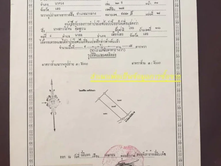 ขายบ้านพร้อมที่ดิน 37ไร่3งานเศษ ที่ อนาด้วง จเลย