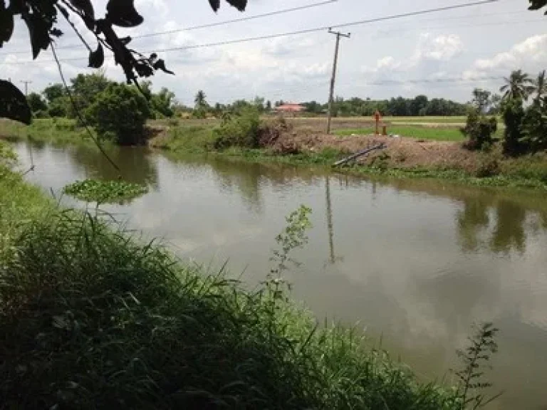 ขายที่ดินถมแล้ว 1 ไร่ คลองข่อย นนทบุรี ปากเกร็ด ข้างหน้าที่ดินติดถนนลาดยาง