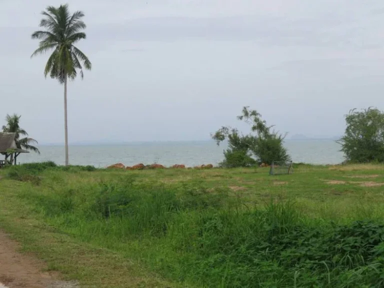 ขายที่ดิน วิวทะเล บางสะพาน จประจวบคีรีขันธ์