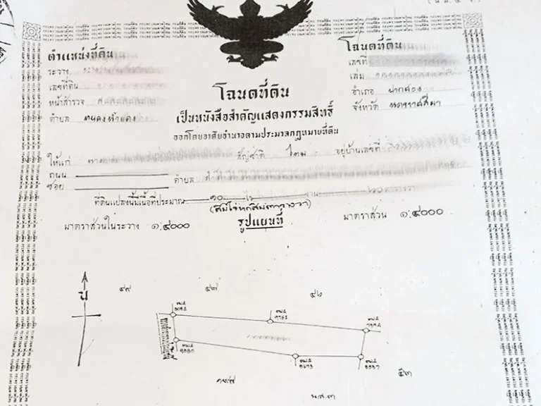 ขายที่ดิน แปลงสวย 10 ไร่ หนองน้ำแดง ปากช่อง จโคราช