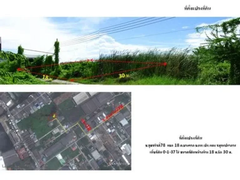 ขายที่ดิน137ตรวๆละ22000 ก18ล30สุขสวัสดิ์78แยก18 บางจาก พระประแดง สมุทรปราการ ซวัดชังเรืองภาวนาราม รพบางจาก