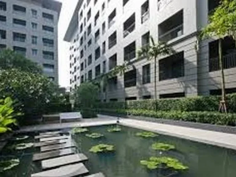 ให้เช่าคอนโด The Seed Memories 1 ห้องนอน 43 ตรม For rent The Seed Memories 1 bed 43 sqm