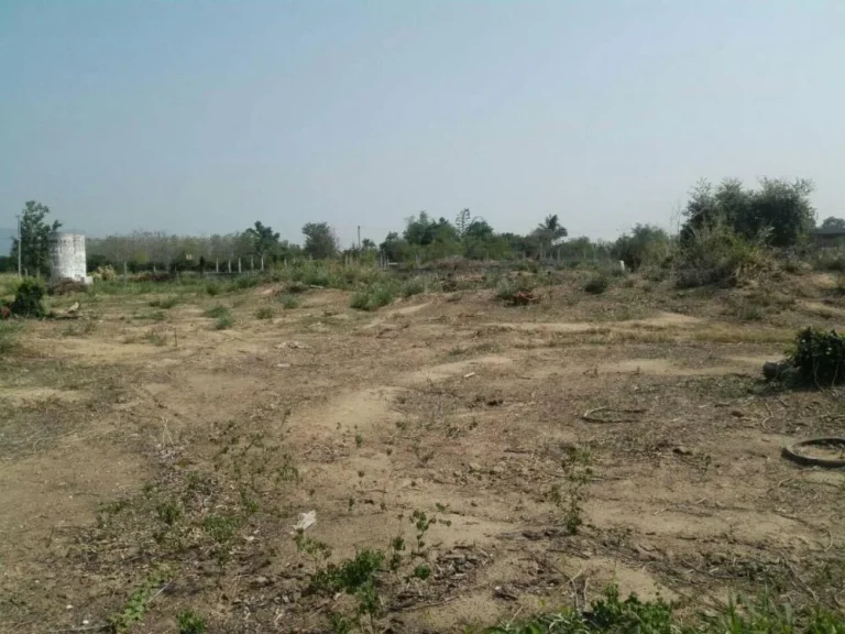 Land for sale near Pha Cho Nation Park