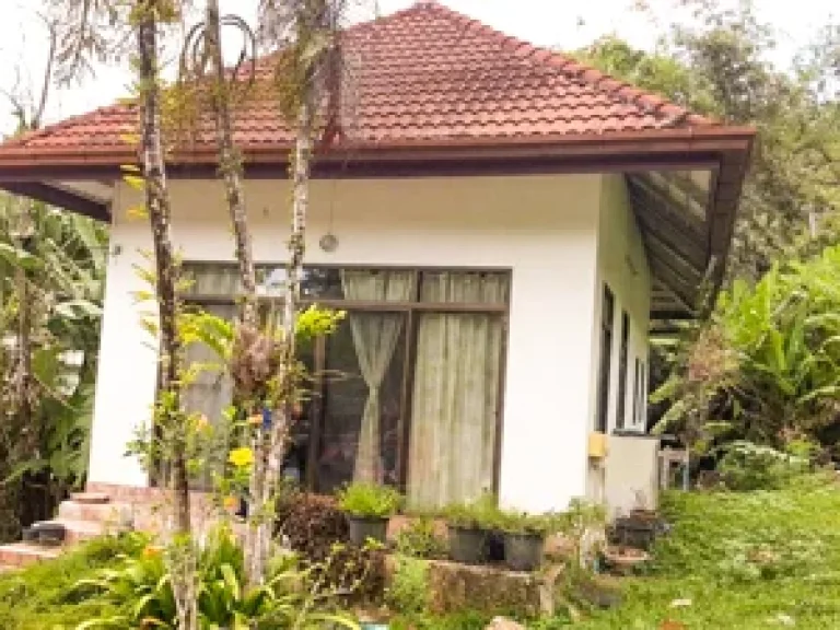 ขายบ้าน บนที่ดิน 2 ไร่ ซอยในตรอก ซอยนากก ฉลอง ภูเก็ต Land and House for sale in Chalong Muang Phuket