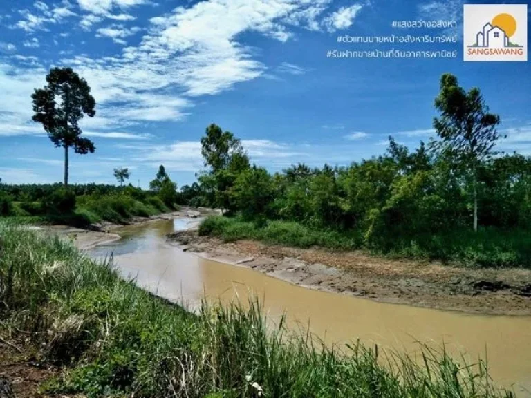 ขายที่ดินโคราช อ เสิงสาง เนื้อที่ 6 ไร่ 1 งาน 38 ตร วา นส 3ก ขายไร่ละ 200000 ที่สวยมีคลองลำมาศทั้ง 2 ด้านยาวไปตลอดแนว