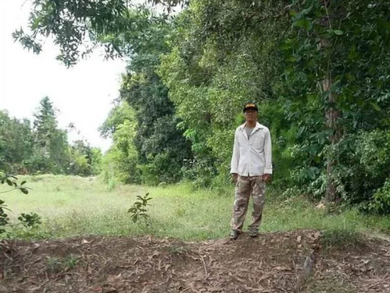 ขายที่ดิน เป็นที่นา อตระการพืชผล จอุบลราชธานี