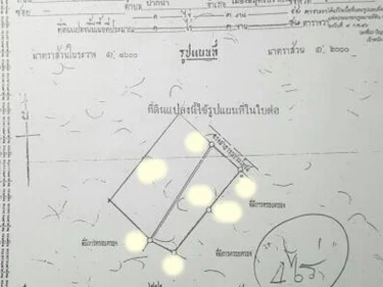 ที่ดินสวย เกือบ4ไร่ ใกล้ทะเลชายหาด พัทยา ถสุขุมวิท อบางละมุง เหมาะทำคอนโด ตึกสูง