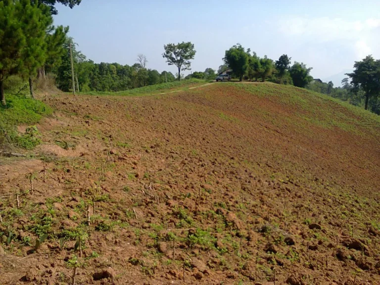 ขายที่ดิน 6 ไร่ห่างจากถนนดำทางหลวง 40มวิวสวยมากขายรวมทั้งหมด 450000 บาท