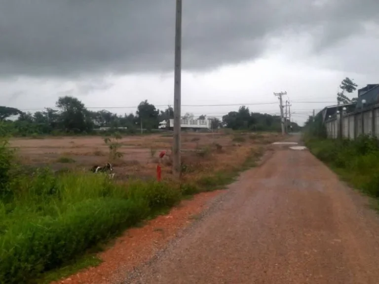 ขายที่ดิน 202 ตรวา ตพระยาบันลือ อลาดบัวหลวง จอยุธยา