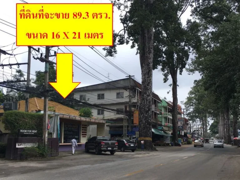 ขายถูก ที่ดินติดถนนต้นยาง หนองหอย ทำเลทองใจกลางเมืองเชียงใหม่