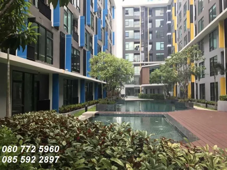 คอนโดให้เช่า เฟรช คอนโดมิเนียม บางโพ Fresh Condominium Bangpho กรุงเทพ-นนทบุรี 13 Fresh Condominium Bangpho ประชาราษฎร์สาย1 บางซื่อ บางซื่อ 1