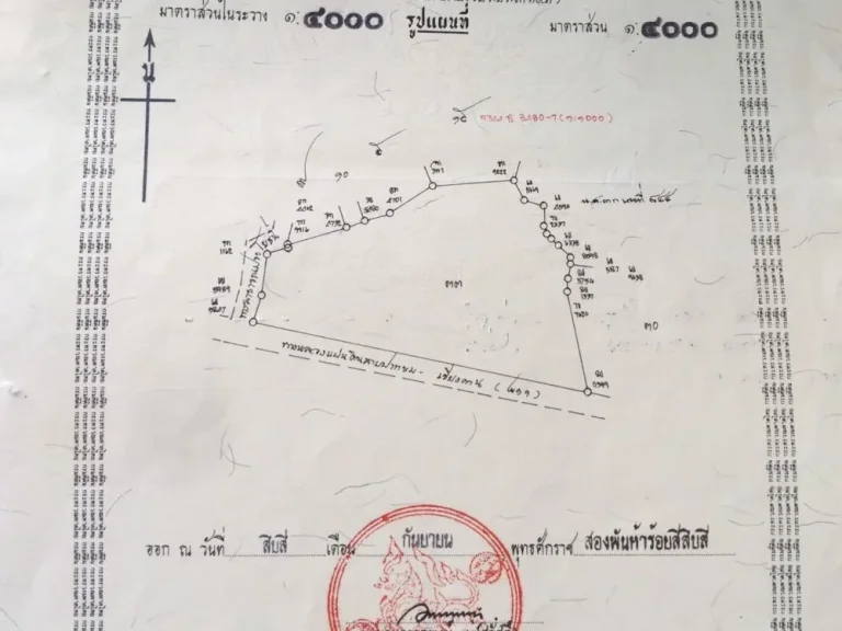 ขายที่ดินเชียงคาน ติดถนนใหญ่หน้ากว้างกว่า 320เมตร