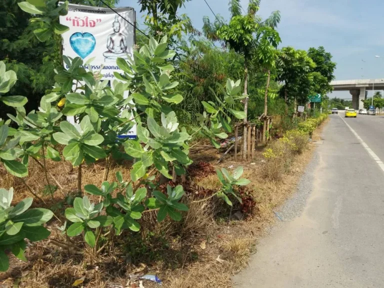 ที่ดิน 3ไร่ ติดถนนพุทธมณฑลสาย1